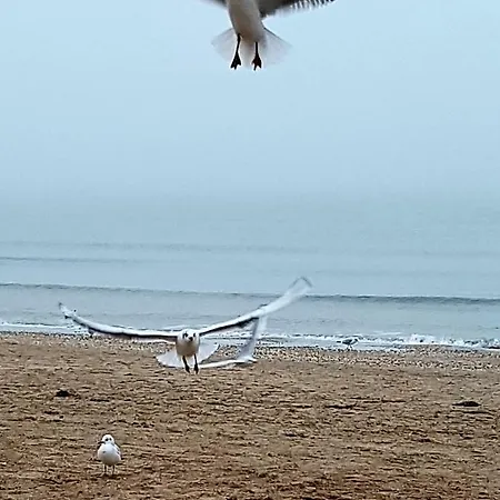 гостьовий дім, приватний сектор Maison d'hôtes *