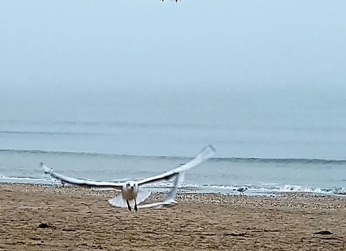 гостьовий дім, приватний сектор Maison d'hôtes *